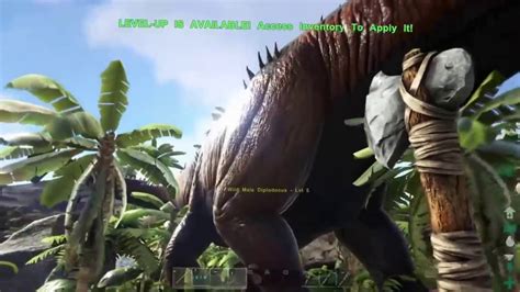 ark porn